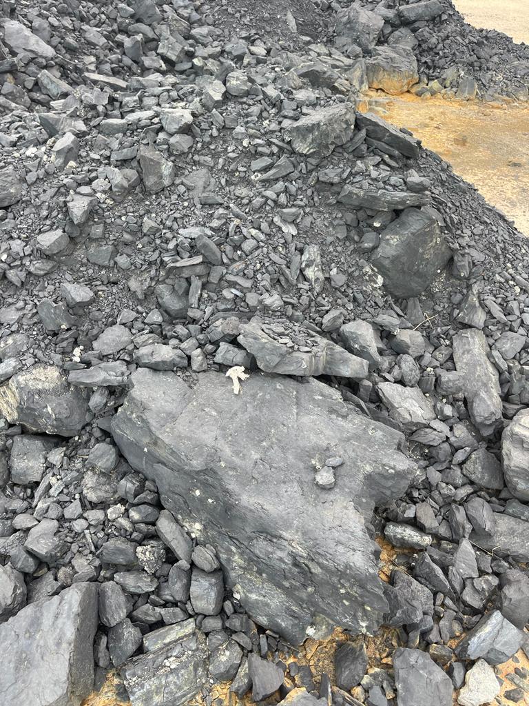 Steam Coal